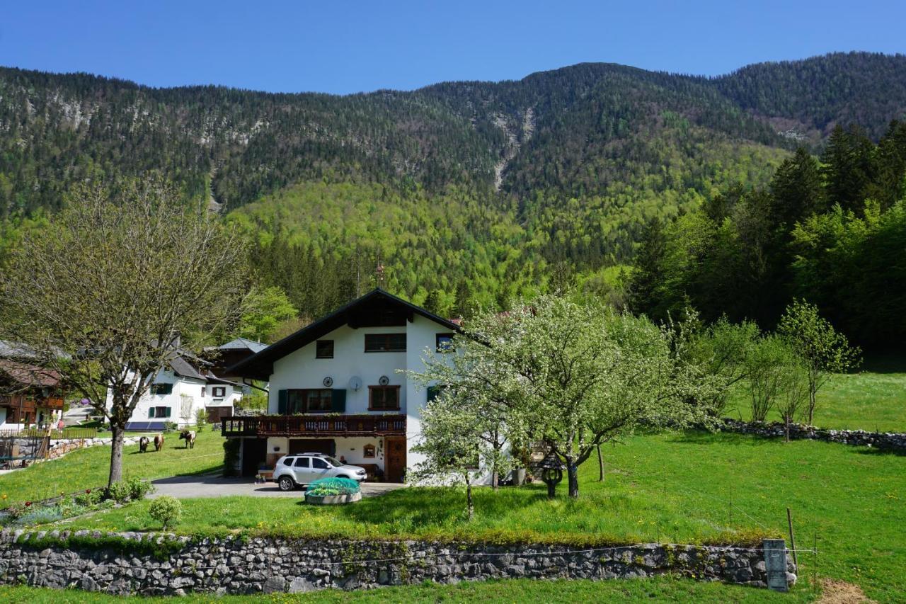Apartment Haider 1 Obertraun Esterno foto